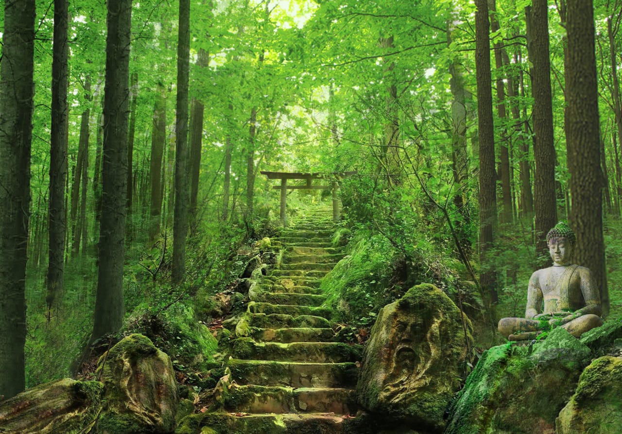 shrine in forest